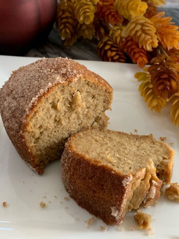 APPLE CIDER DONUT CAKE